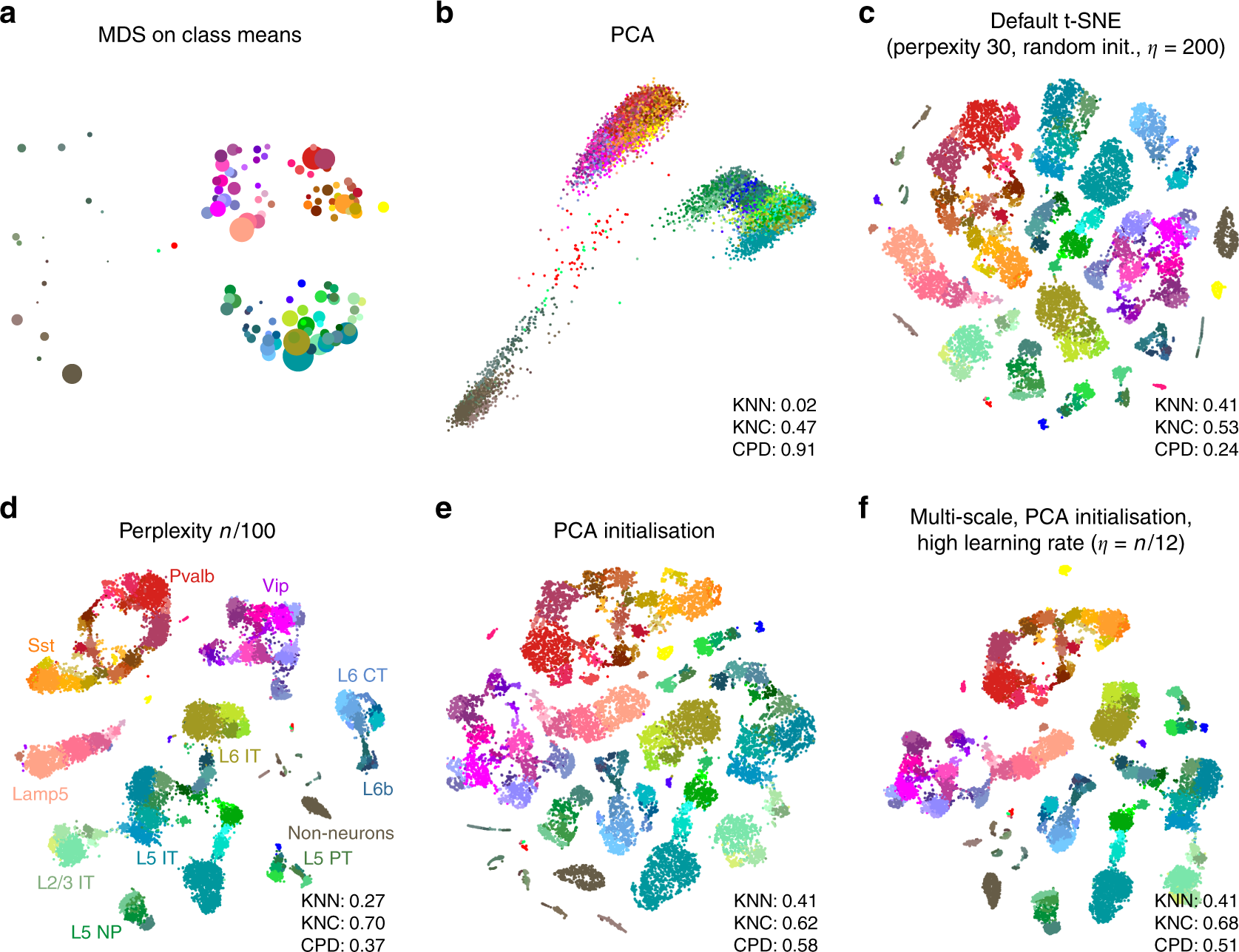Two-dimensional visualization of single-cell data.