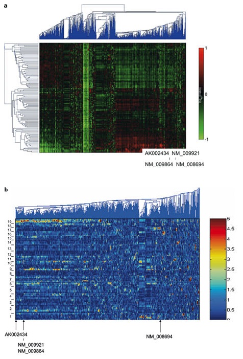 Hierarchical clustering of the data set in the gene expression and eQTL dimensions